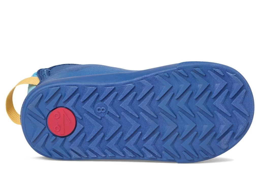 See Kai Run Ame WP (Toddler/Little Kid) 3