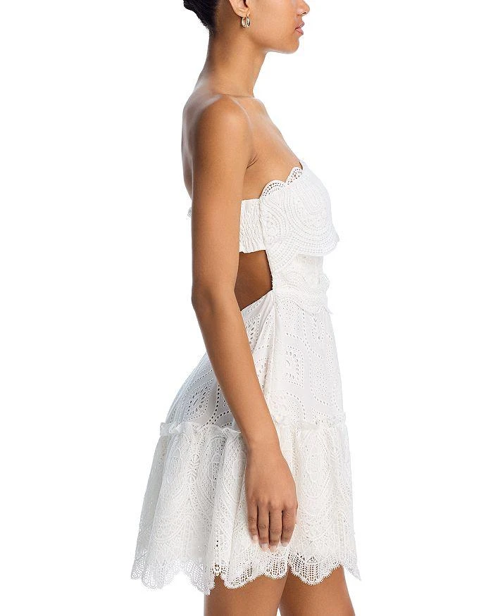 Waimari Amaral Eyelet Mini Dress 5