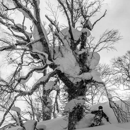 Dalbello Sports Cabrio MV 120 3D Wrap - 2025 4