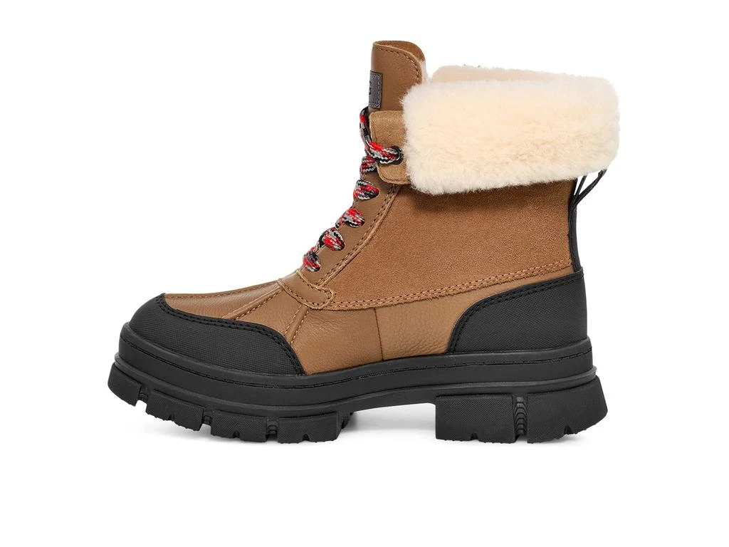 UGG Ashton Addie 4