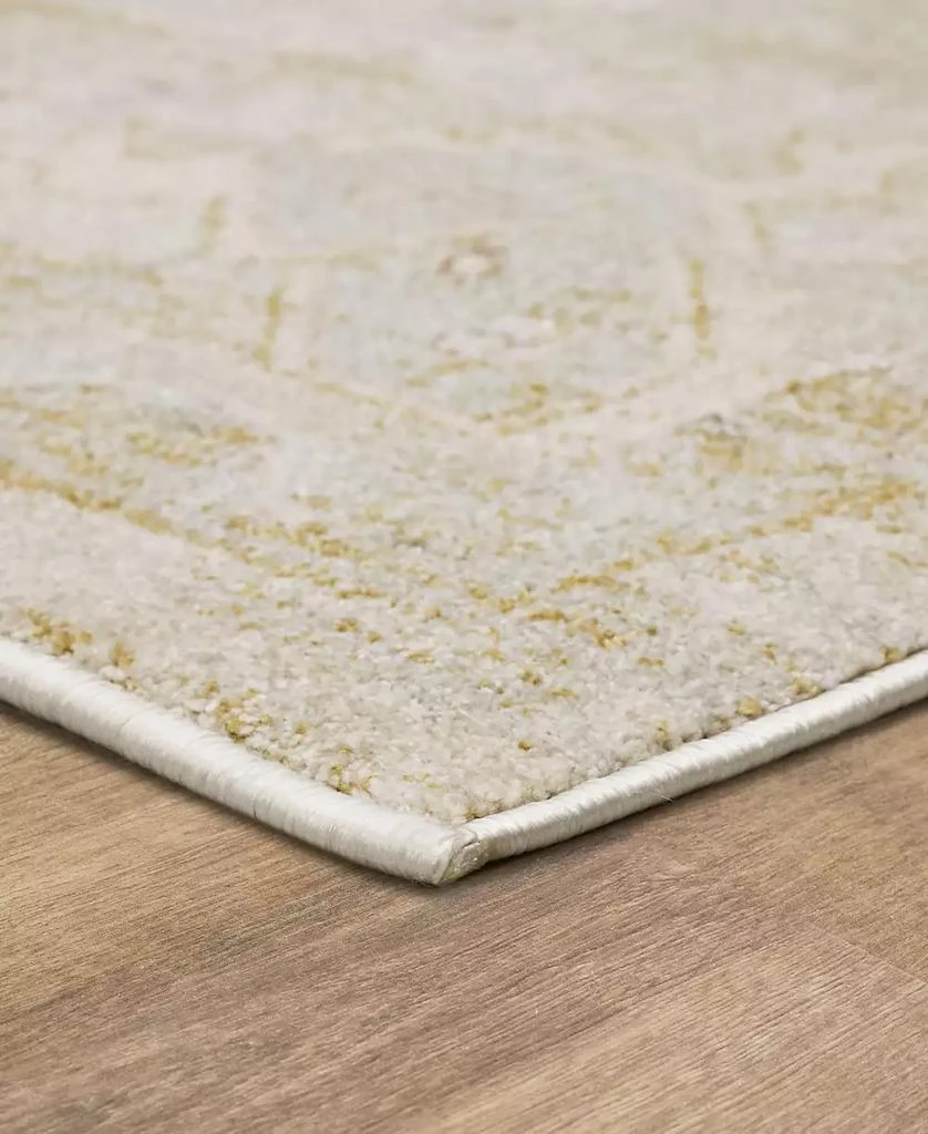 Karastan Windermere Edenhall 6'6x9'10 Area Rug 4