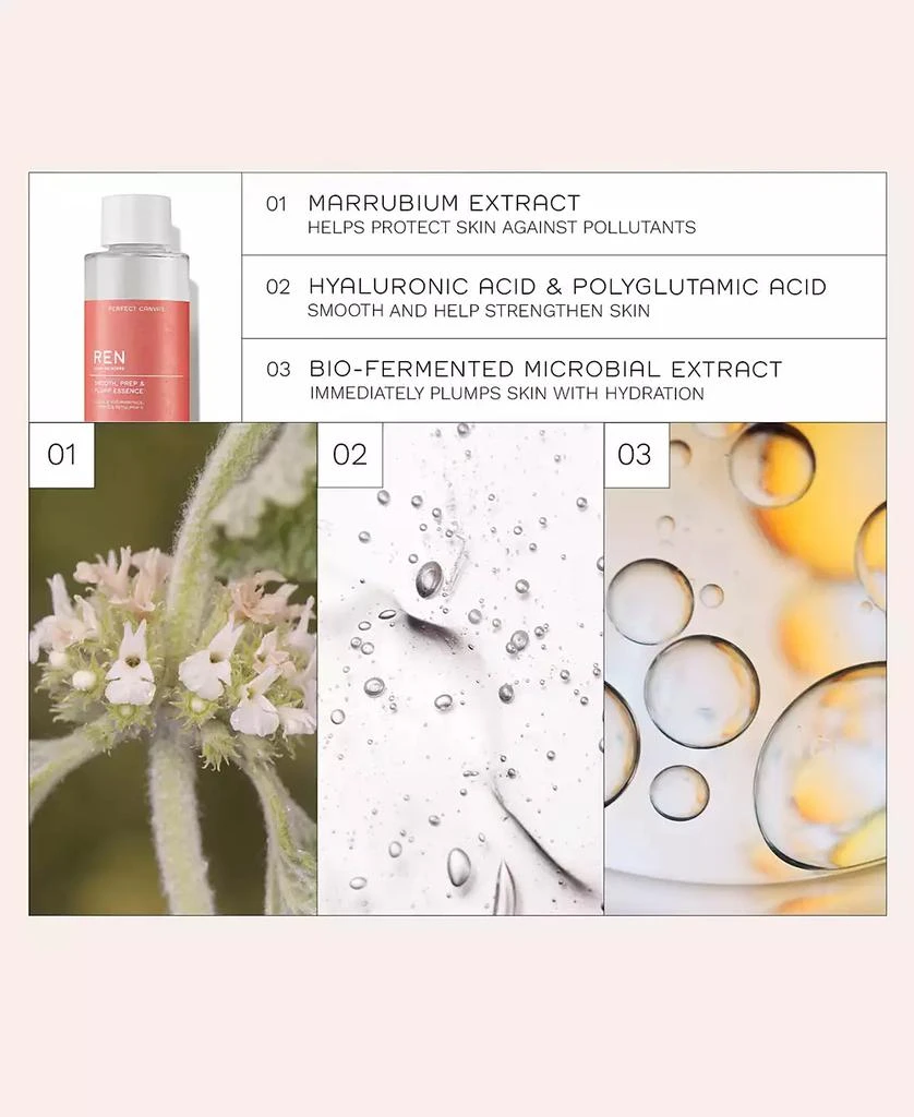 REN Clean Skincare Perfect Canvas Smooth, Prep & Plump Essence 5