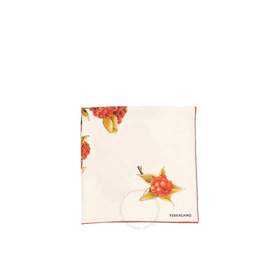 Salvatore Ferragamo Blackberry Print Silk Scarf 3