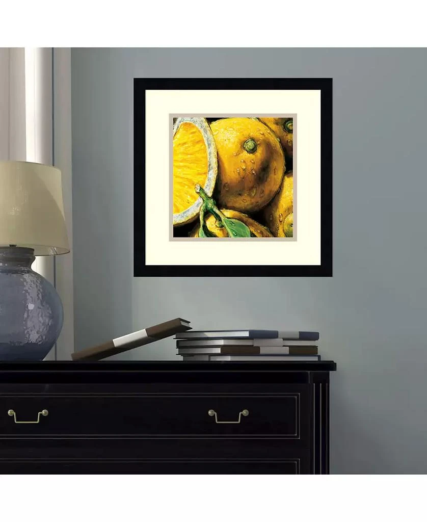 Amanti Art Lemons Framed Art Print 4