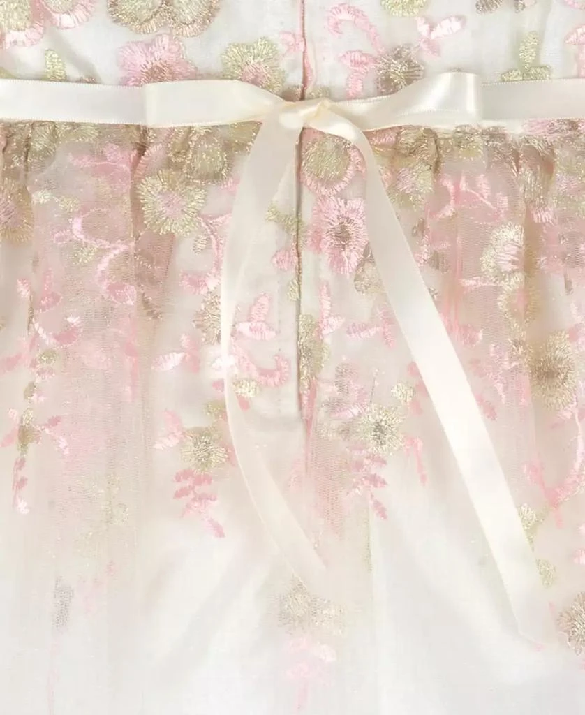 Rare Editions Baby Girls Floral Embroidered Mesh Party Dress 4