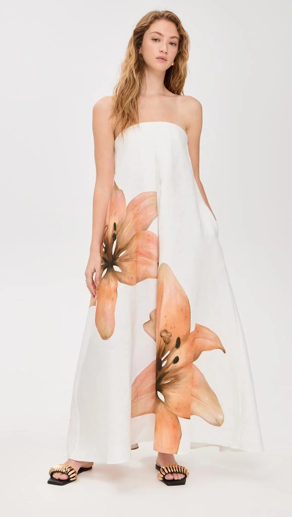 Significant Other Parisa Maxi Dress 1