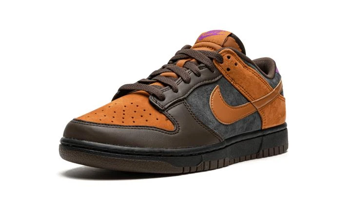 NIKE Nike Dunk Low Retro PRM 5