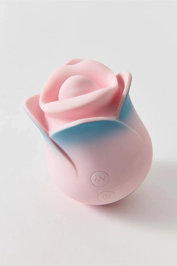 Blush Blush Kissing Rose