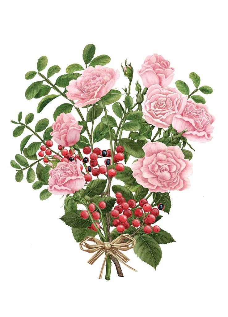 Carriere Freres Botanical Palet La Rose aime le Poivre - 2 x 55g 4