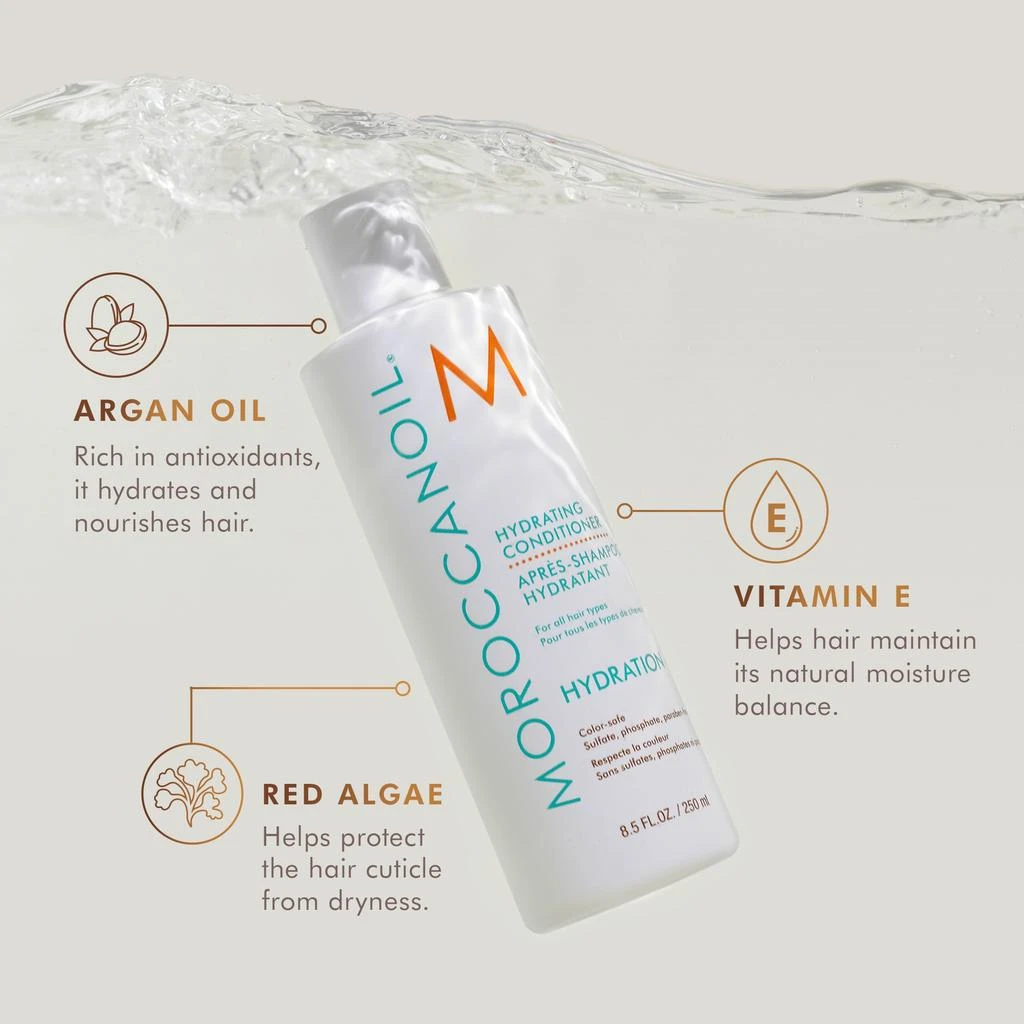Moroccanoil Moroccanoil Hydrating Conditioner 8.5 oz 2