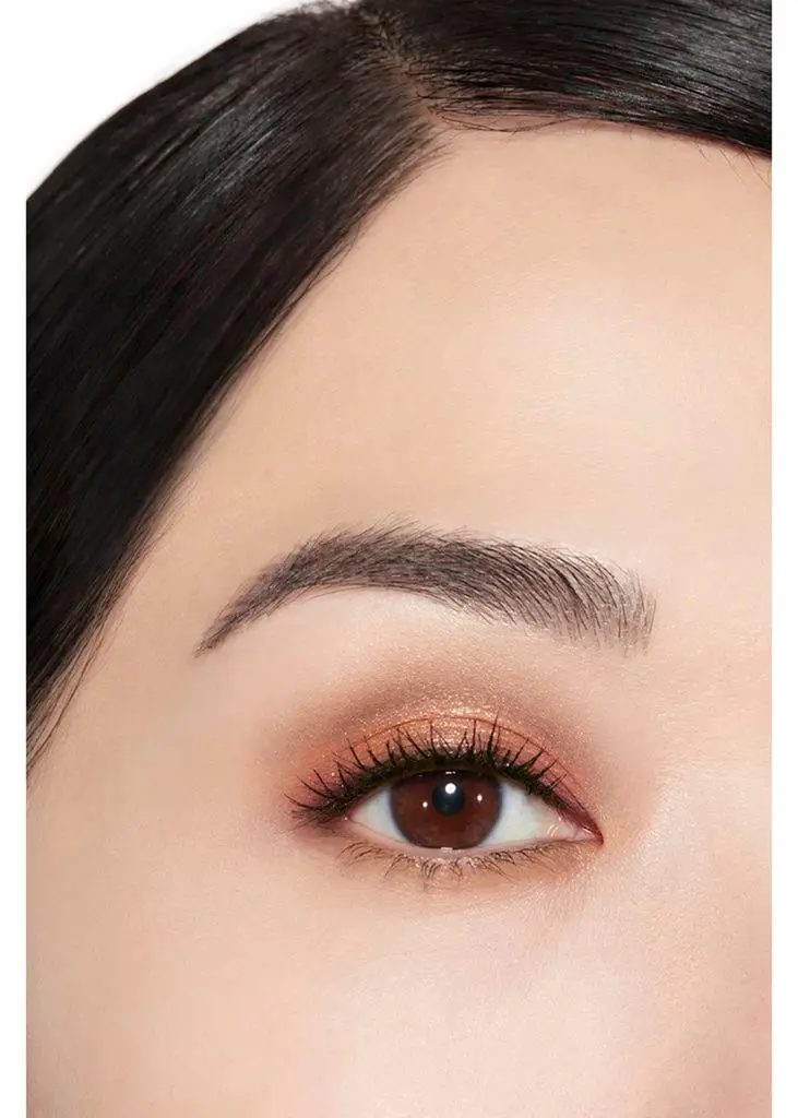 Chanel LES BEIGES ~ Healthy Glow Natural Eyeshadow Palette 2