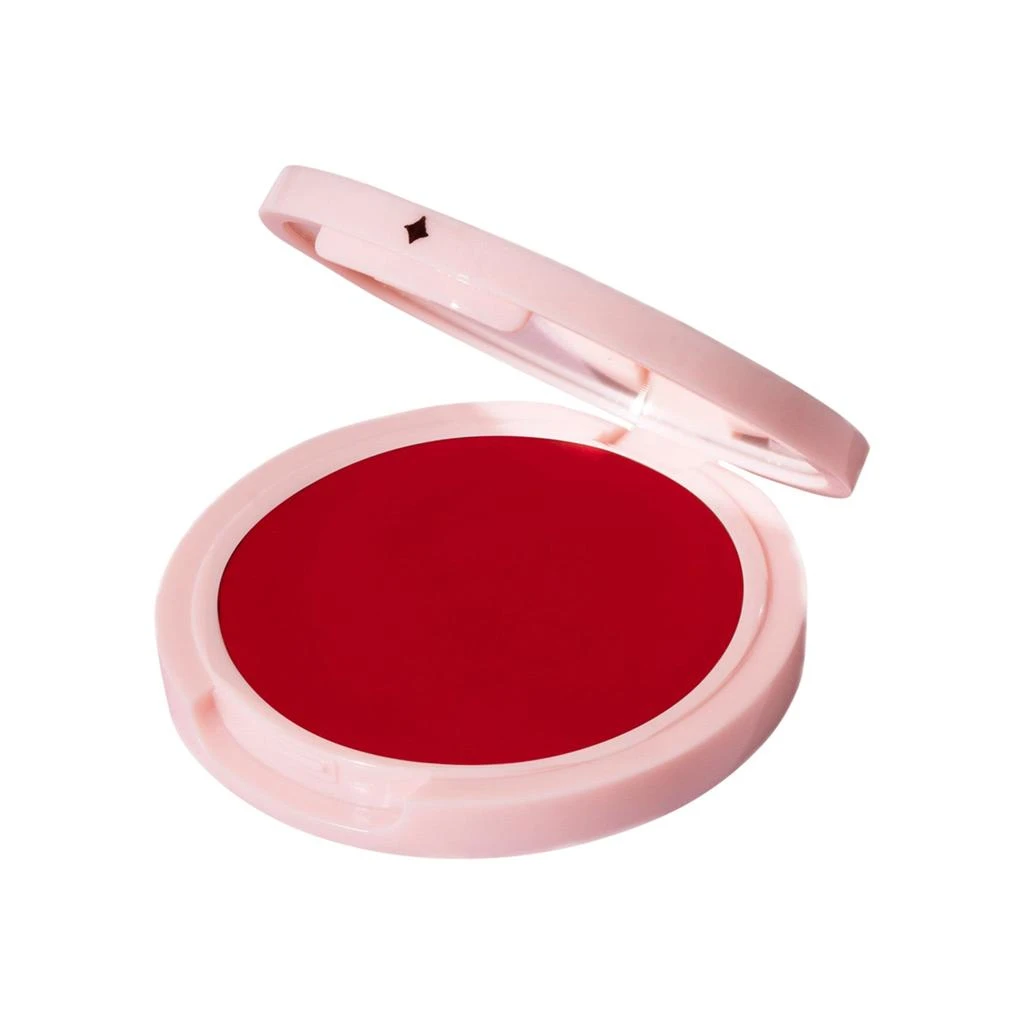 Jillian Dempsey Cheek Tint 7