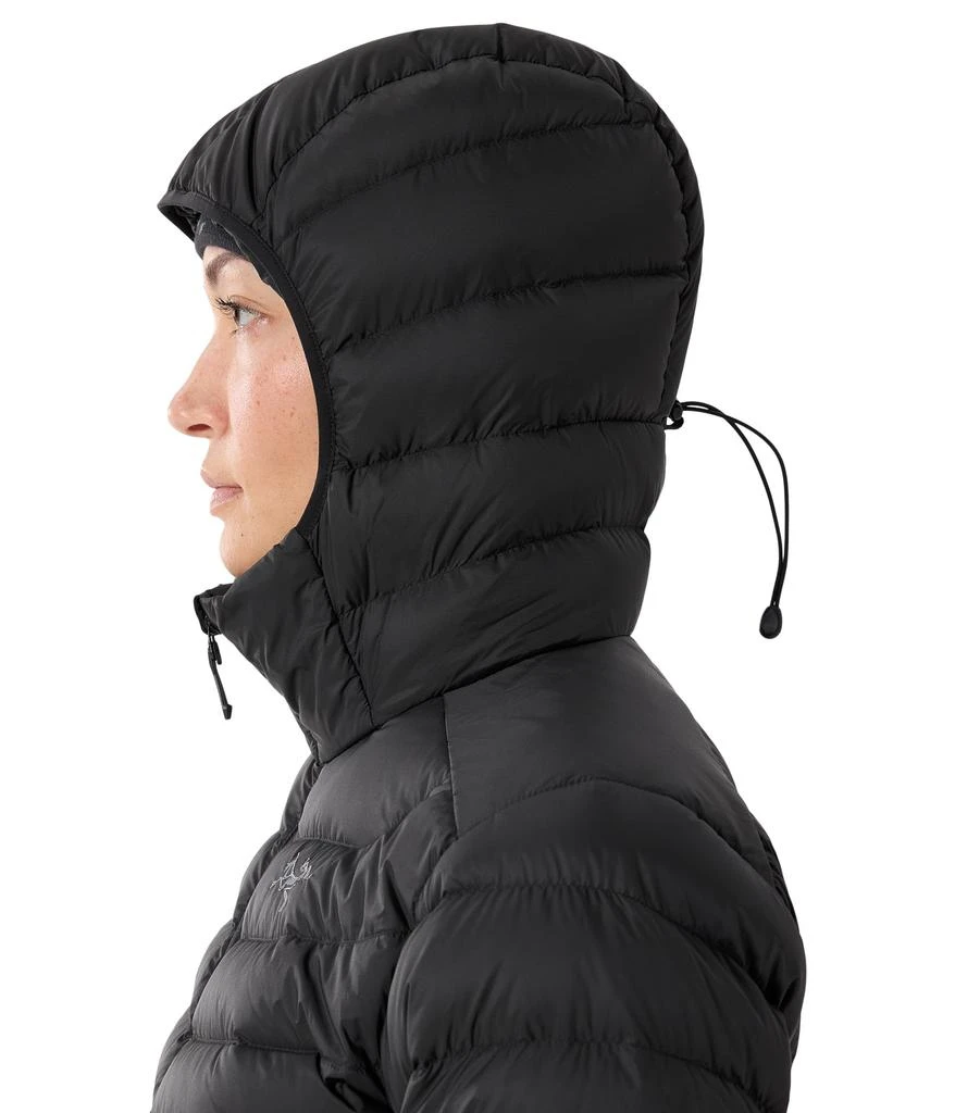 Arc'teryx Cerium Hoody 5