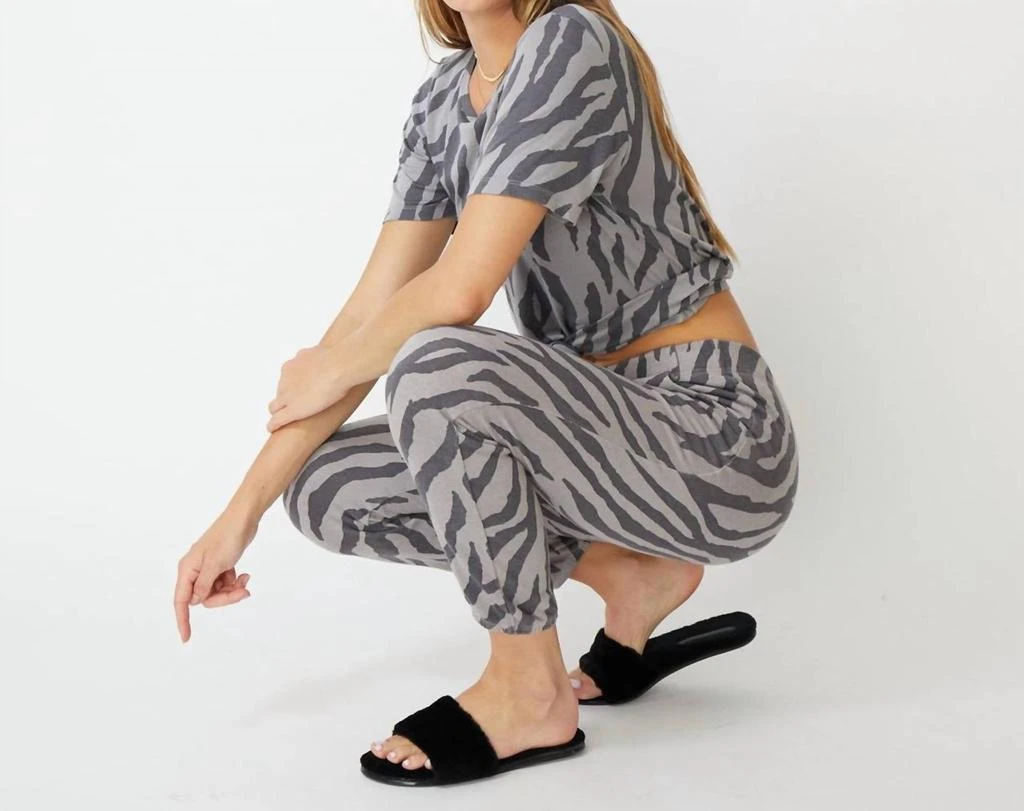 Monrow Zebra Jogger Sweatpants In Grey Combo 3