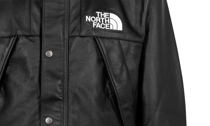Supreme Supreme TNF Leather Mountain Jacket 3