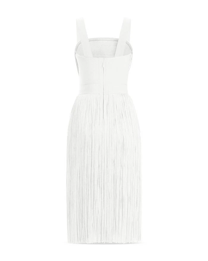 Herve Leger Marion Fringe Dress 7