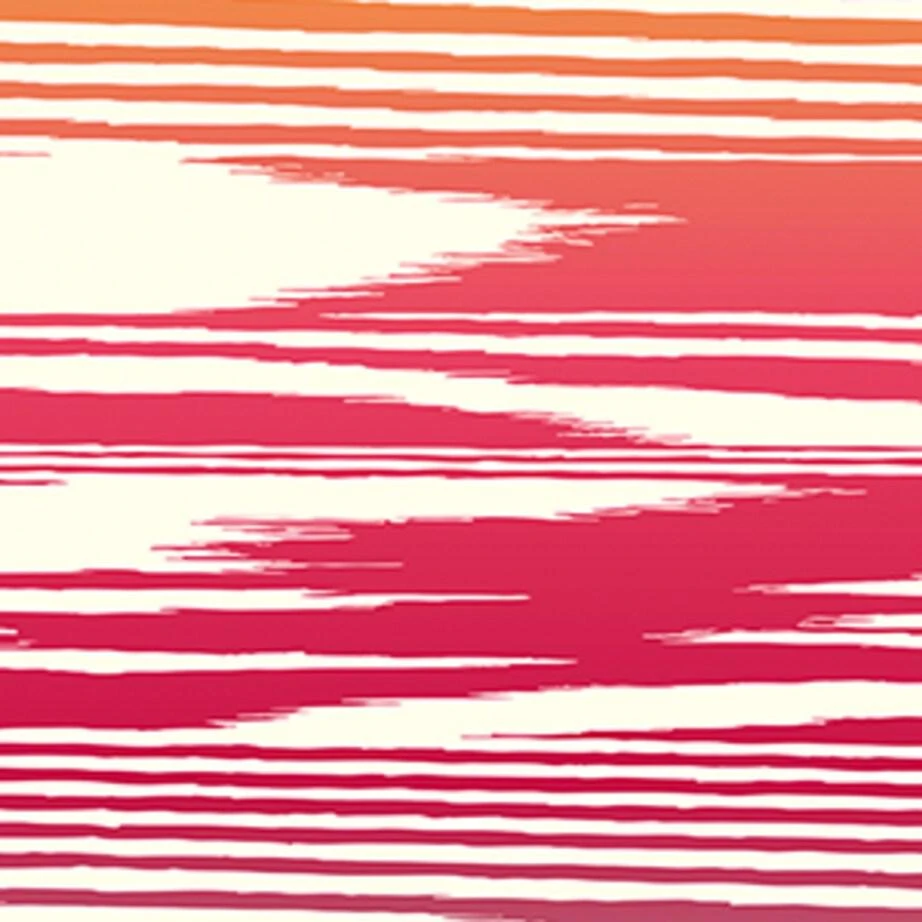 Moleskine x Missoni Printed Notebook 9
