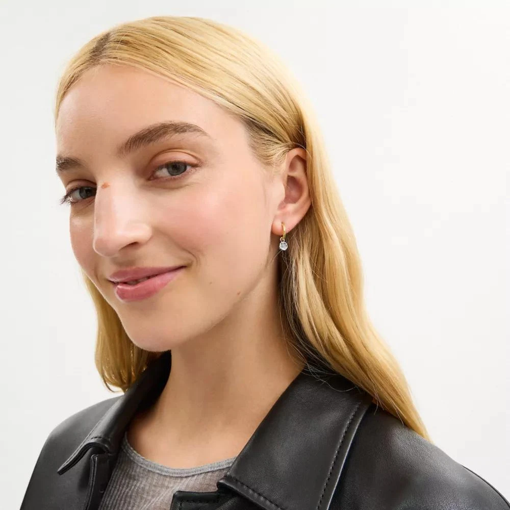 Coach Mini Tea Rose And Cherry Charm Hoop Earrings 3