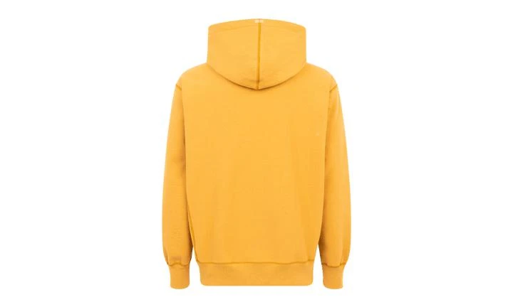 Supreme Supreme Box Logo Hoodie 4