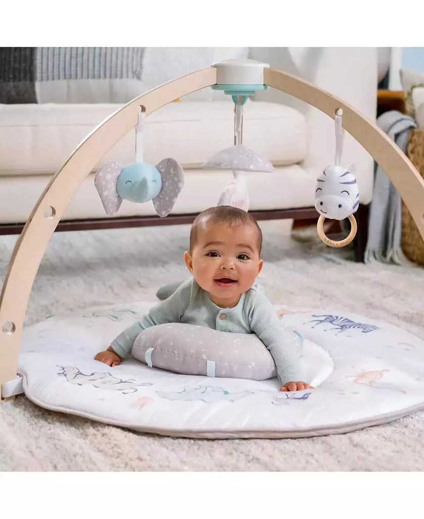 aden + anais Activity Gym 3