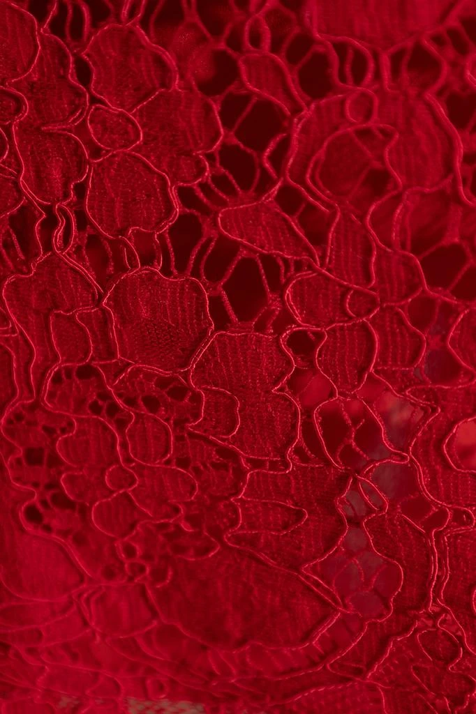 Dolce & Gabbana Lace dress 5