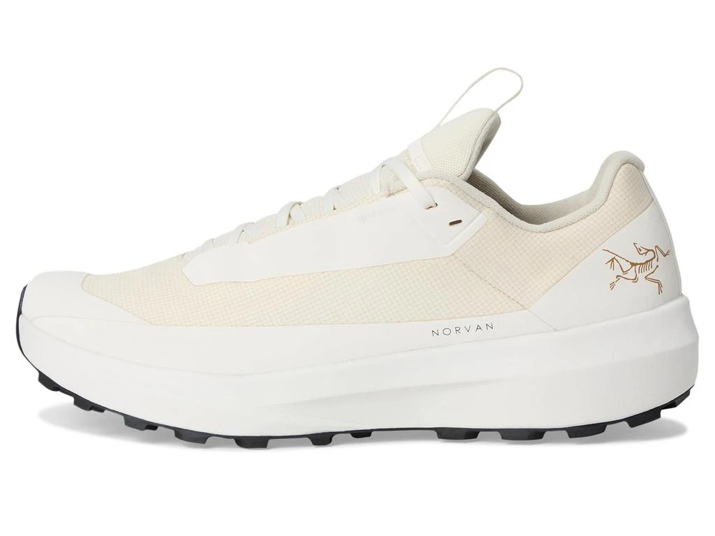 Arc'teryx Norvan LD 4 GTX 4