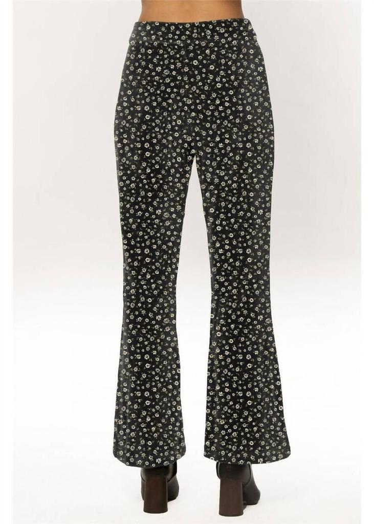AMUSE SOCIETY Amuse Society - forever mine woven pant