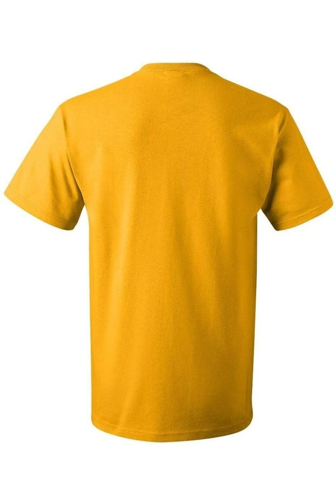 Gildan Game Of Thrones Baratheon Burst Sigil Short Sleeve Adult Tee / T-Shirt 2