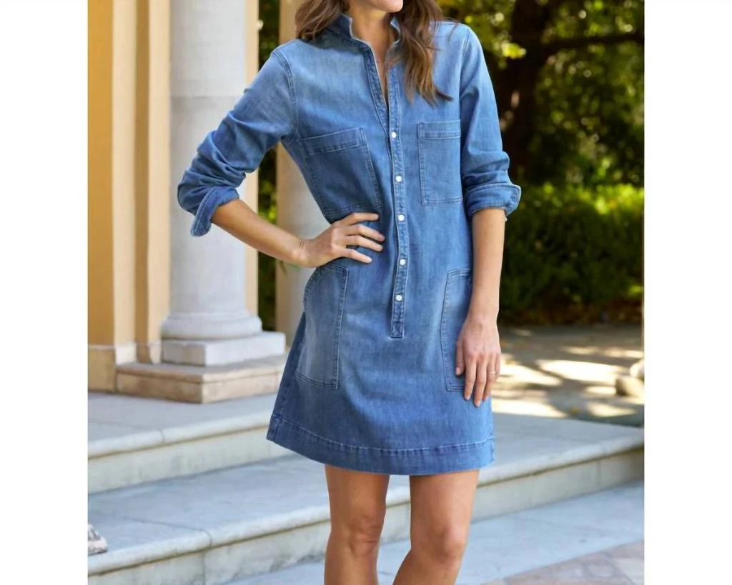 Frank & Eileen Frank & Eileen - Ireland Utility Denim Dress 3