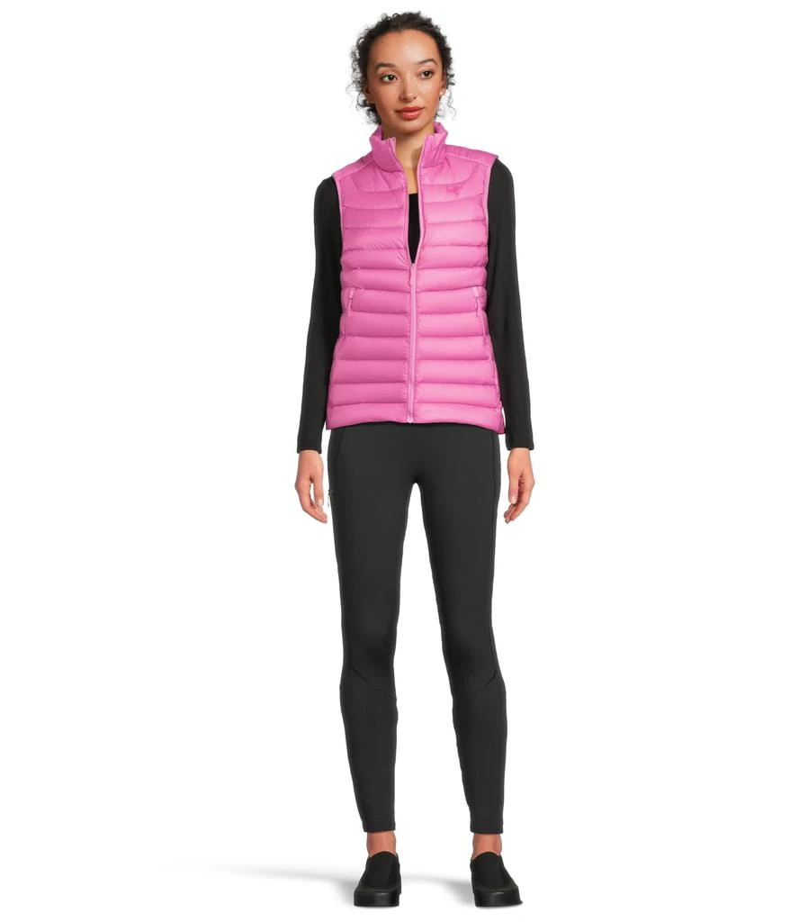 Arc'teryx Cerium Vest 5