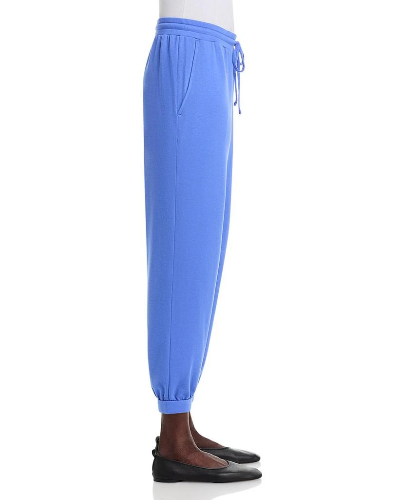 Eileen Fisher Cozy Brushed Terry Hug Jogger Pants 4