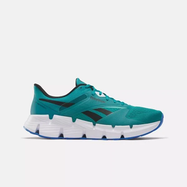 Reebok Zig Dynamica 5 Shoes 1