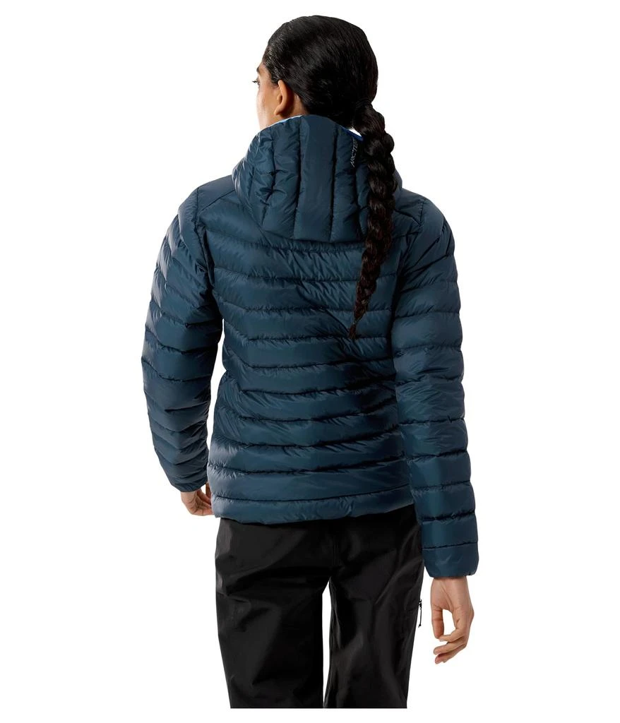 Arc
teryx Cerium Hoodie 2