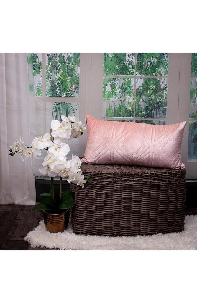Parkland Reta Velvet Throw Pillow 5