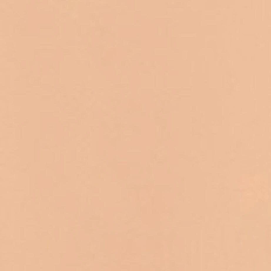 Shiseido Synchro Skin Radiant Lifting Foundation SPF 30 4