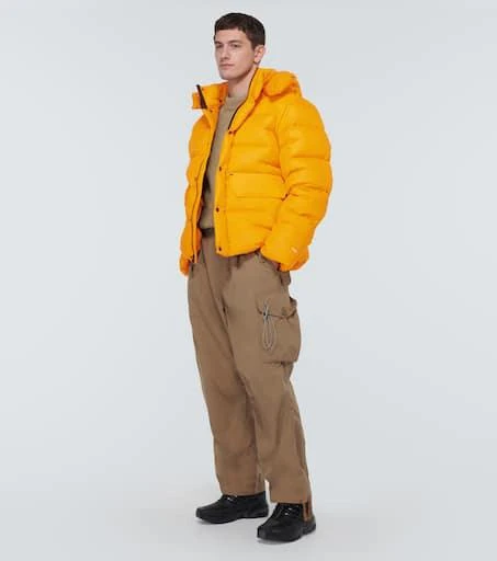 The North Face RMST Sierra parka 2