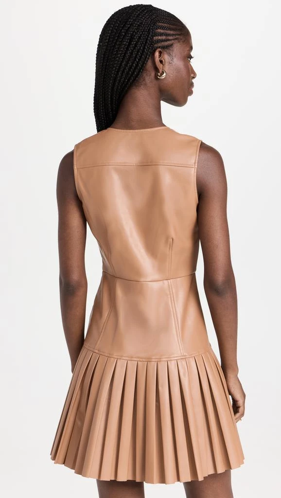 Shoshanna Tae Dress 2