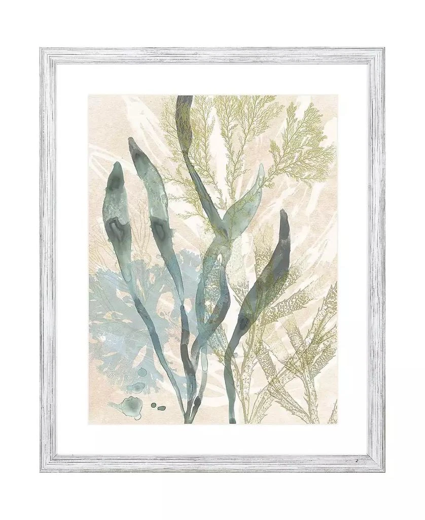 Paragon Picture Gallery Vintage-Like Ocean Jewels II Framed Art 1