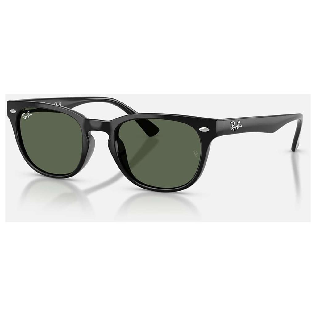 Ray-Ban Ray-Ban Women's Black Round Sunglasses