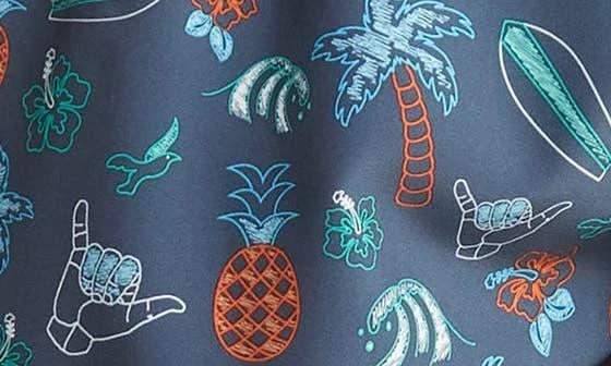 BEACH BROS Tropical Chalk Swim Trunks 4
