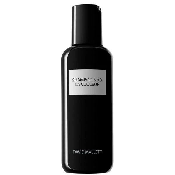 DAVID MALLETT David Mallett Shampoo No3: La Couleur 250ml 1