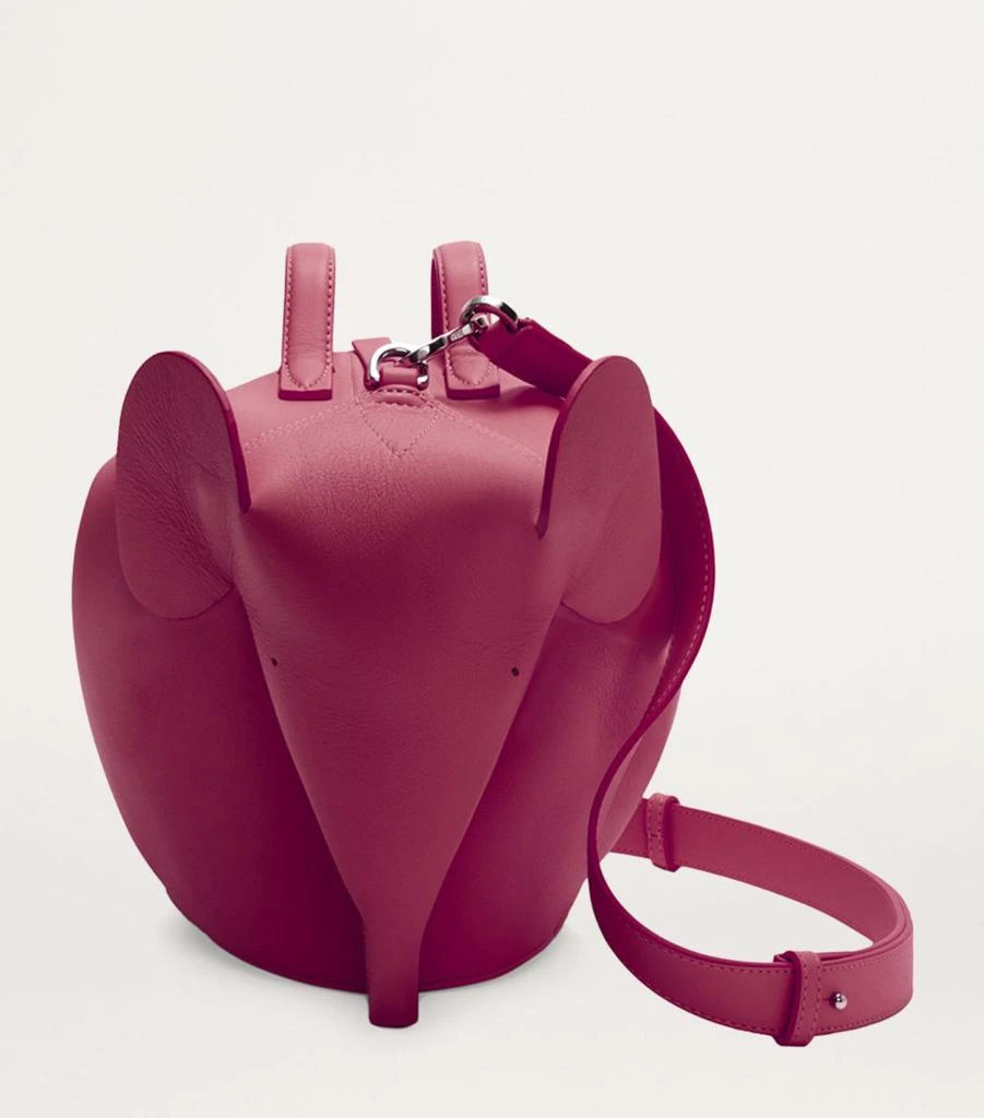 Loewe Leather Elephant Bag 3