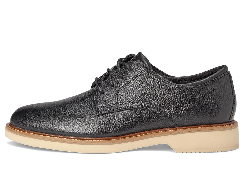 Cole Haan American Classics Montrose Plain Toe Oxford 4