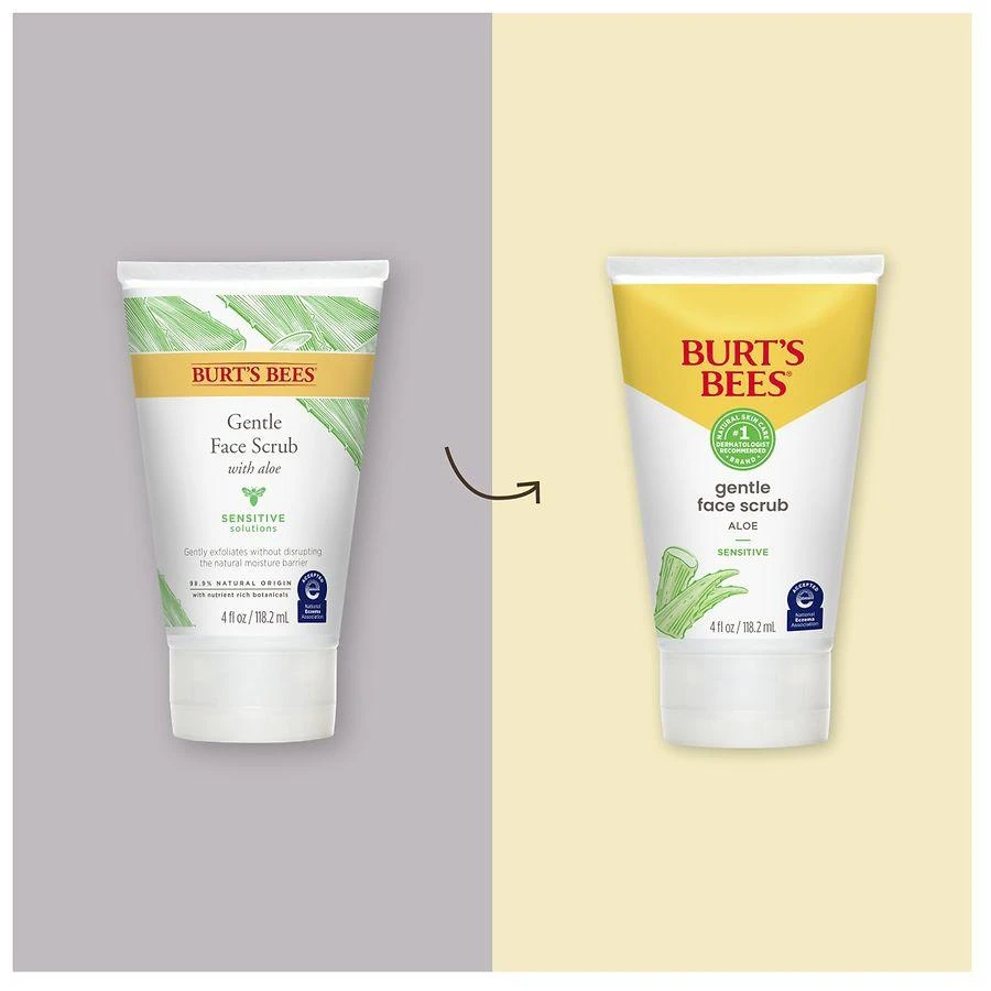 Burt's Bees Gentle Face Scrub with Aloe for Sensitive Skin 5