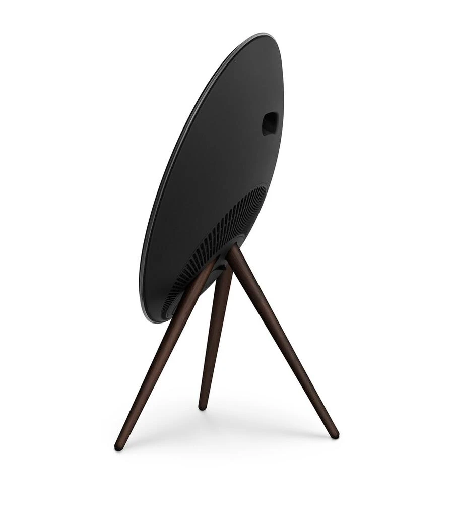 Bang & Olufsen Beosound A9 5th Generation Speaker 3