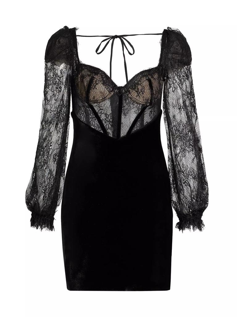 PatBO Lace & Velvet Minidress