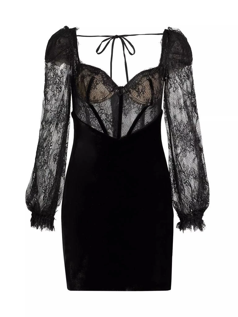 PatBO Lace & Velvet Minidress 1