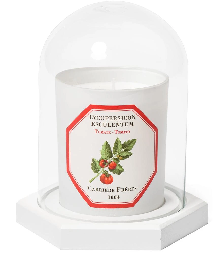 Carriere Freres Coffret Le Dôme 3
