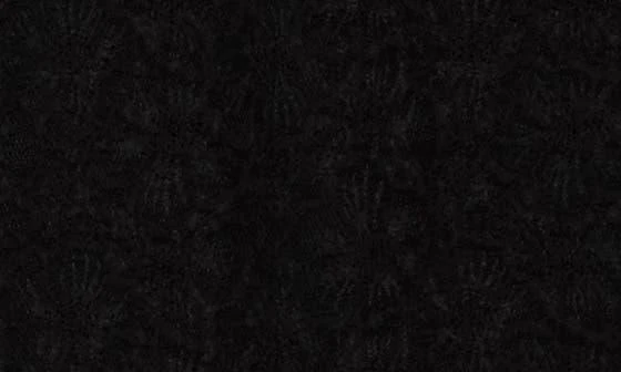 SIMKHAI Zurie Lace Combo Turtleneck Bodysuit 4