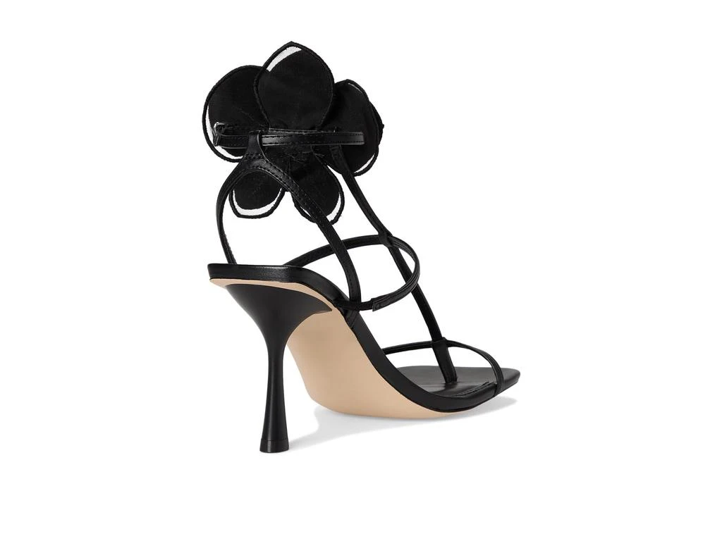 Steve Madden Aries 5